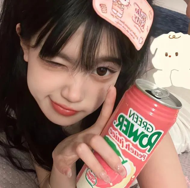 红野菊